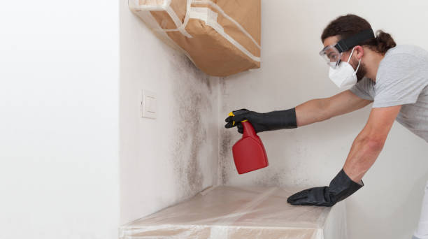 Professional Basement Mold Remediation technician working in Columbus, NC