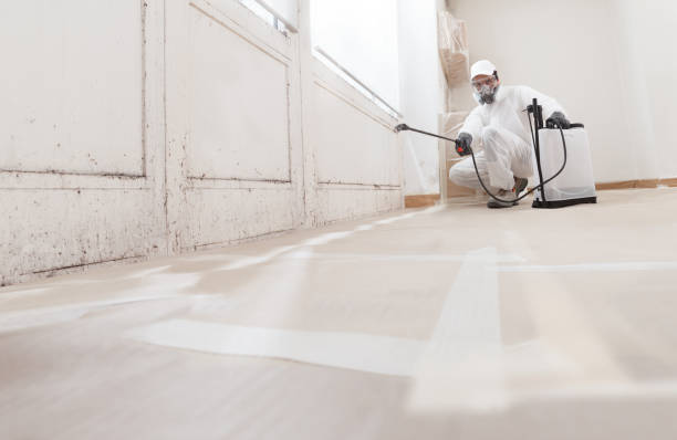 24/7 Emergency Basement Mold Remediation experts in Columbus, NC